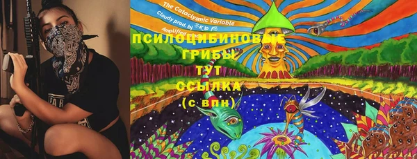 соль курить ск Белокуриха