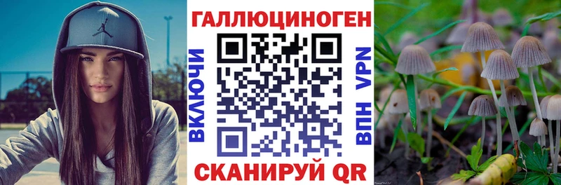 Галлюциногенные грибы мицелий  OMG tor  Прокопьевск 